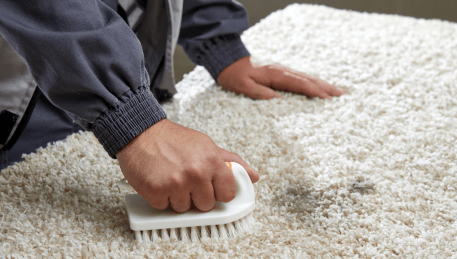 Professional Rug Cleaning Ascot Vale