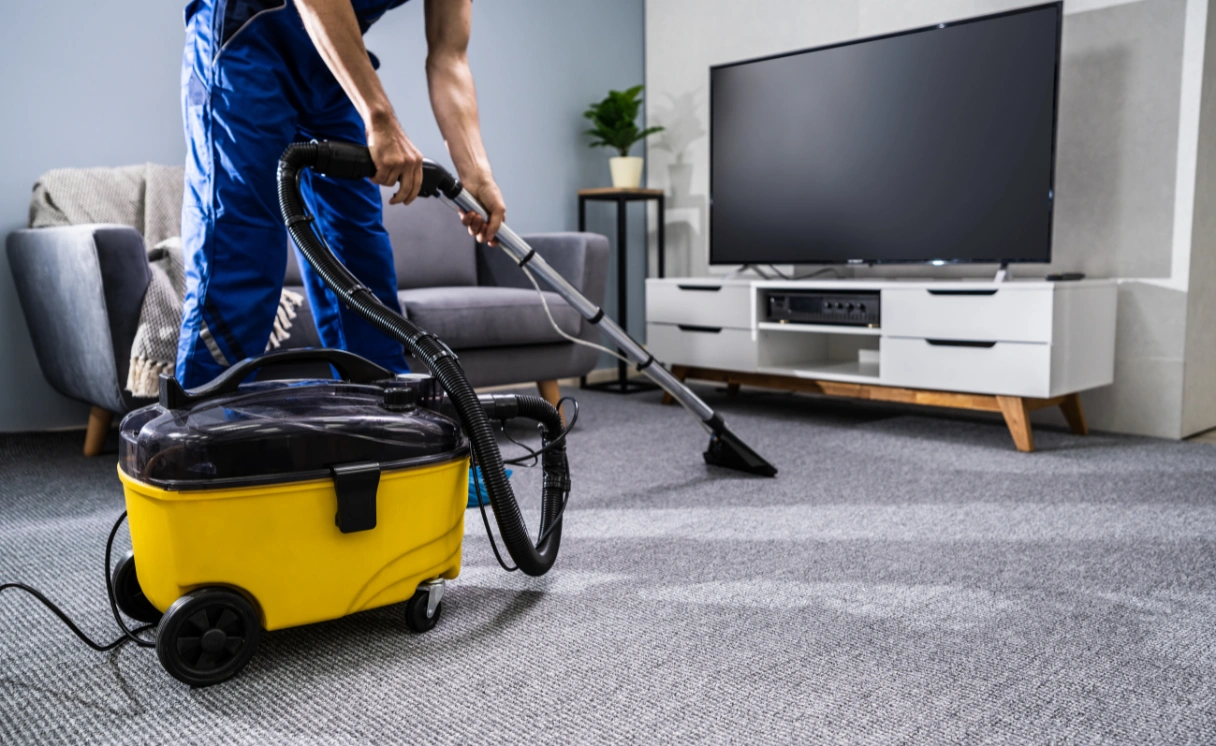 Extract Rug Cleaning Ascot Vale Contact Office